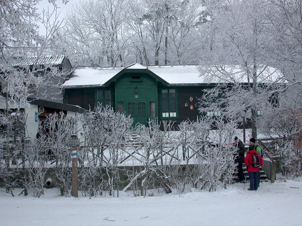 DSCN4132.JPG