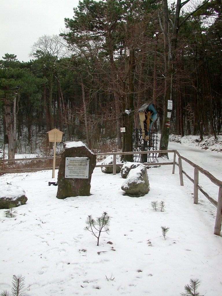 DSCN4141.JPG