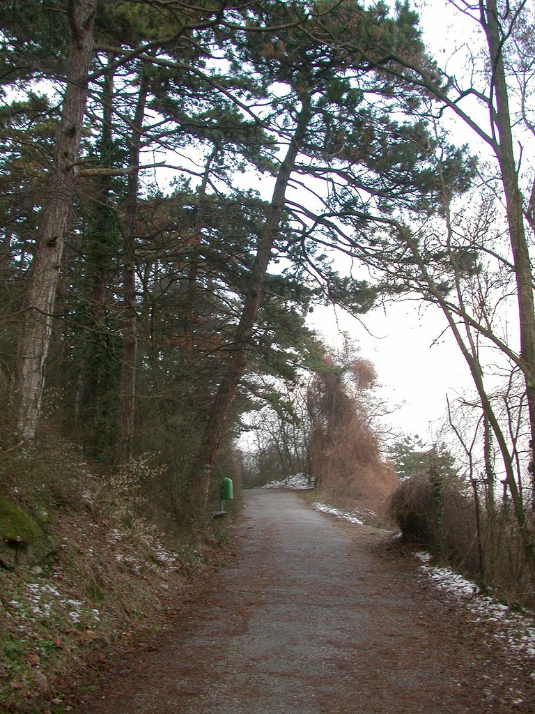 DSCN4144.JPG