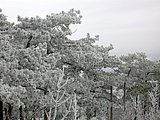 DSCN4112.JPG