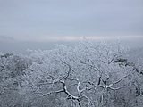DSCN4116.JPG