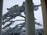 DSCN4118.JPG