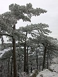 DSCN4122.JPG