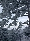 DSCN4124.JPG