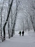 DSCN4128.JPG