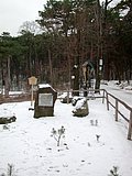 DSCN4141.JPG