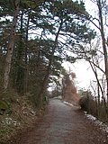 DSCN4144.JPG