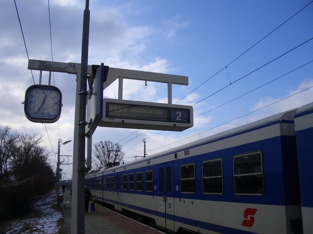 CIMG3815.JPG