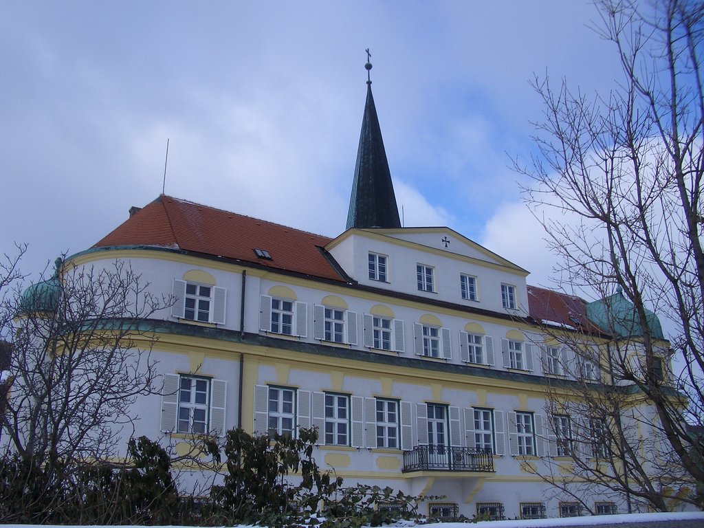 CIMG3819.JPG