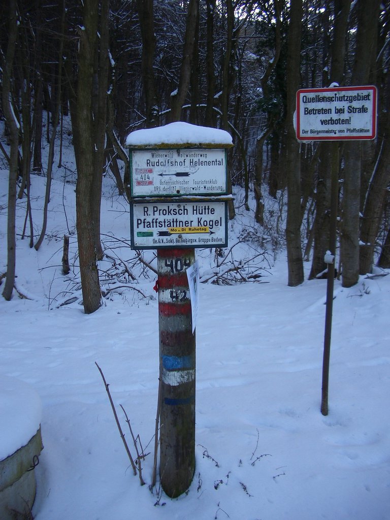 CIMG3842.JPG
