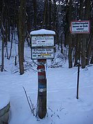 CIMG3842.JPG