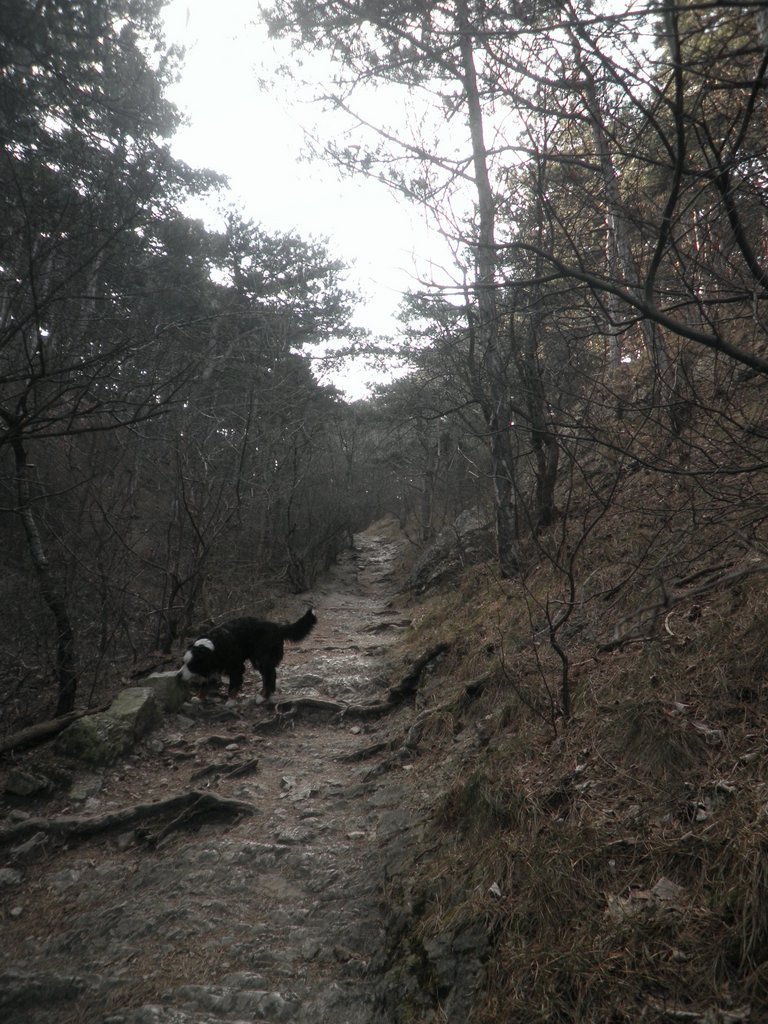 P2050024.JPG