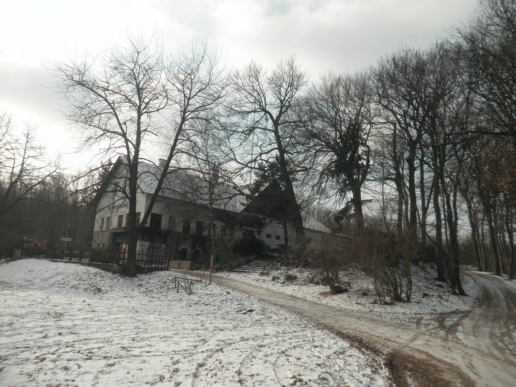 P2050027.JPG