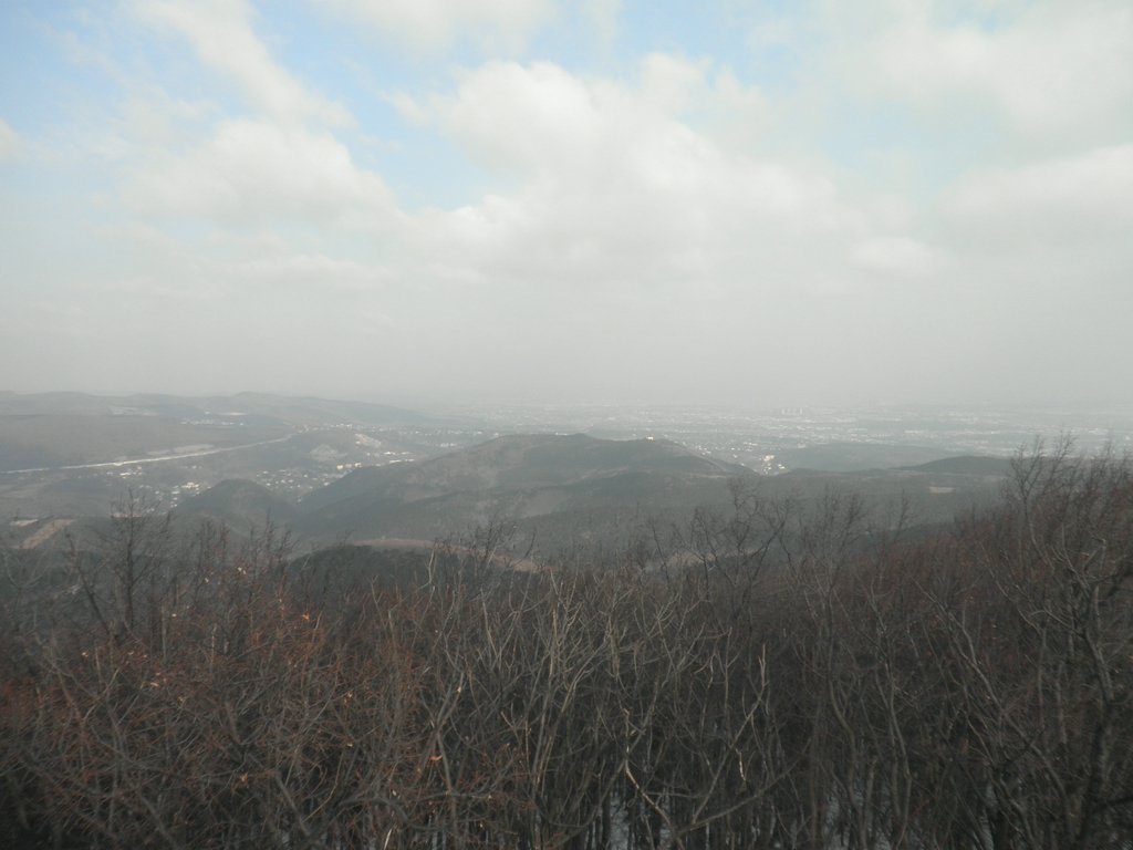 P2050029.JPG