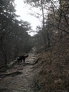 P2050024.JPG
