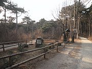 P2050025.JPG