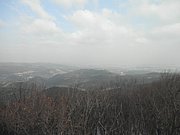 P2050029.JPG