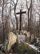P2050033.JPG