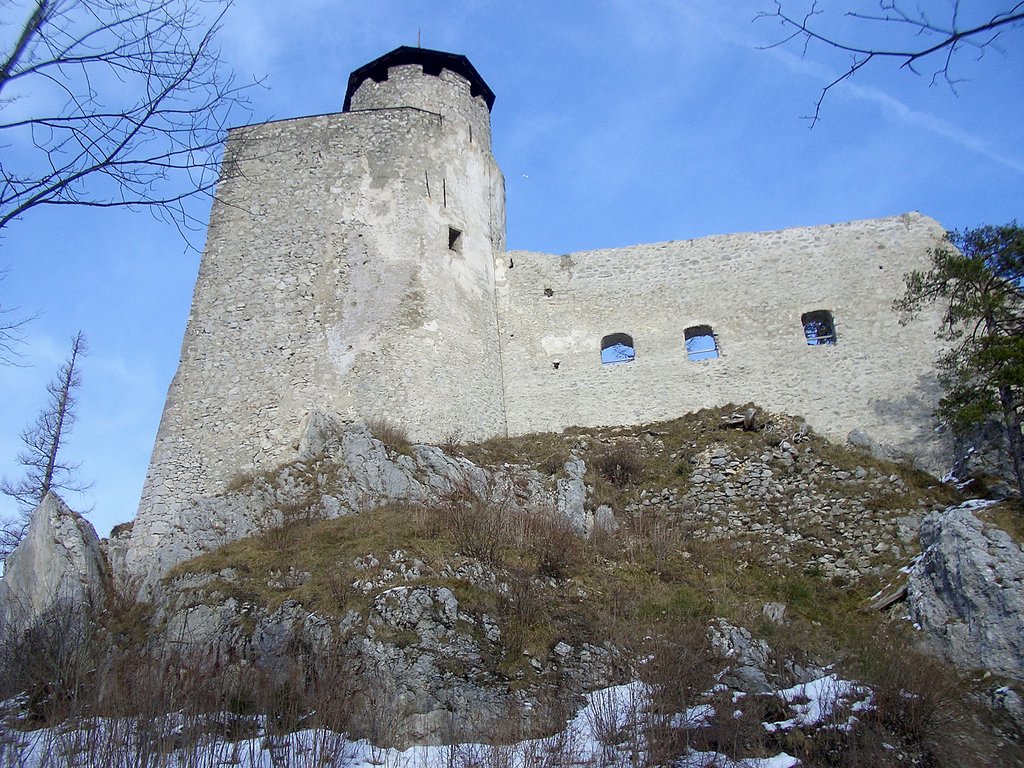 CIMG3764.JPG
