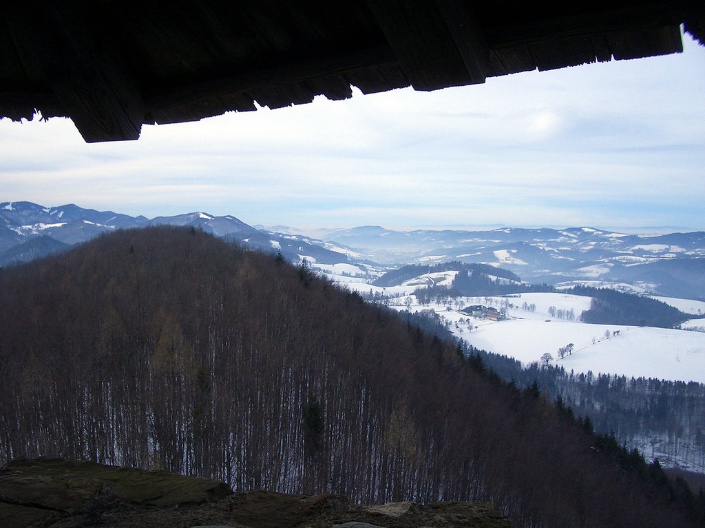 CIMG3776.JPG