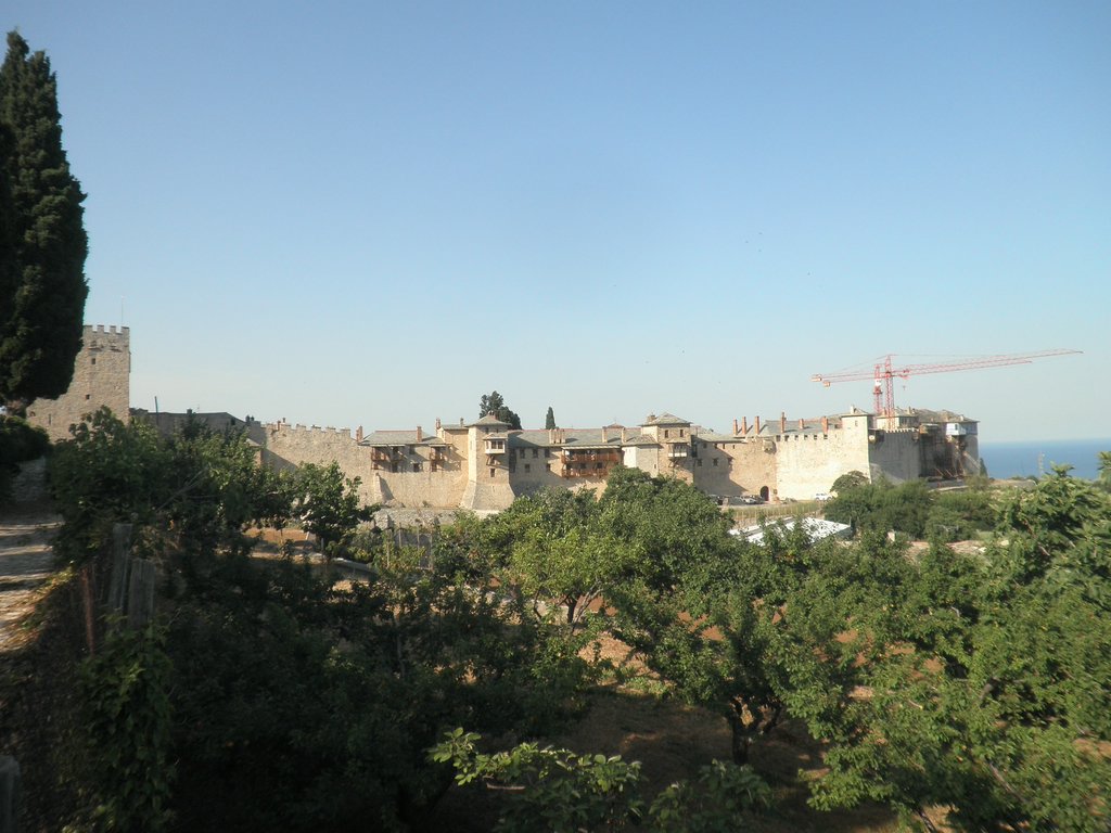 P7050141.JPG