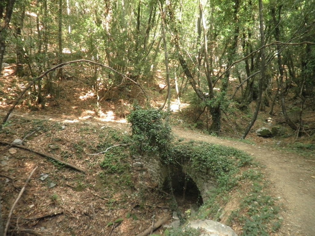 P7060182.JPG