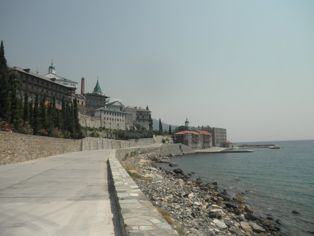P7100373.JPG