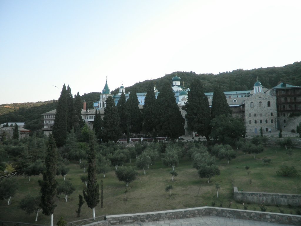 P7110374.JPG
