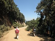 P7040073.JPG
