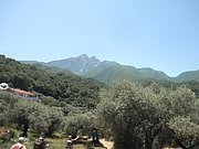 P7040074.JPG
