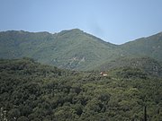 P7040075.JPG