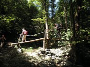 P7040086.JPG