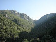 P7040092.JPG