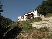 P7050096.JPG