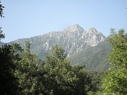 P7050099.JPG