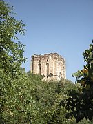 P7050101.JPG