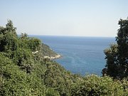P7050102.JPG