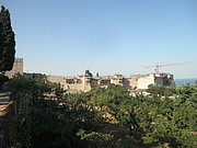 P7050141.JPG