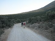 P7050144.JPG