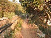 P7060164.JPG