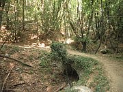 P7060182.JPG