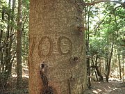 P7060186.JPG