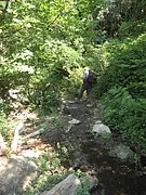P7060190.JPG