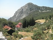 P7060201.JPG