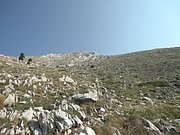 P7070220.JPG