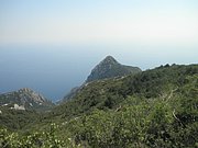 P7070238.JPG