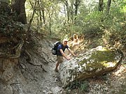 P7070246.JPG