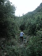 P7090308.JPG