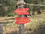 P7100366.JPG