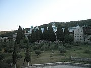 P7110374.JPG
